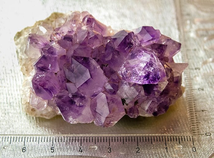 Amethyst Cluster